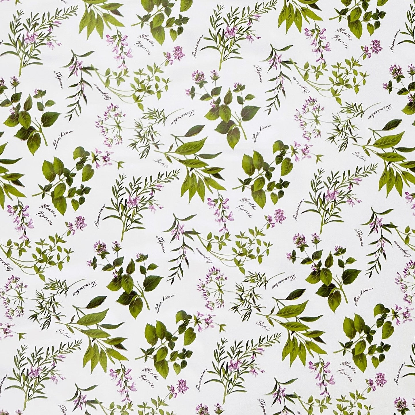Nappe toile cirée B8966-01 herbes de cuisine sur crème carré rond ovale
