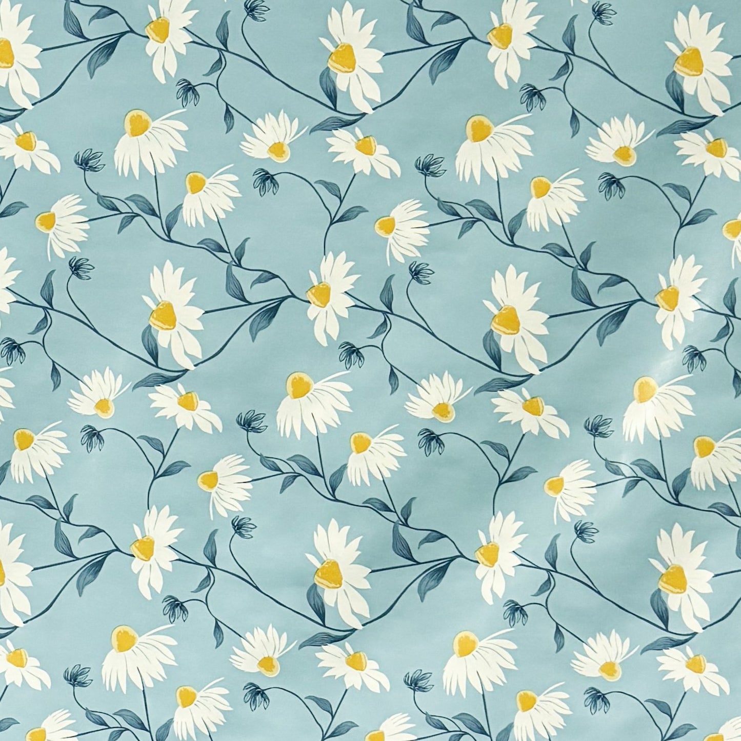 Wachstuch Tischdecke Margeriten hellblau