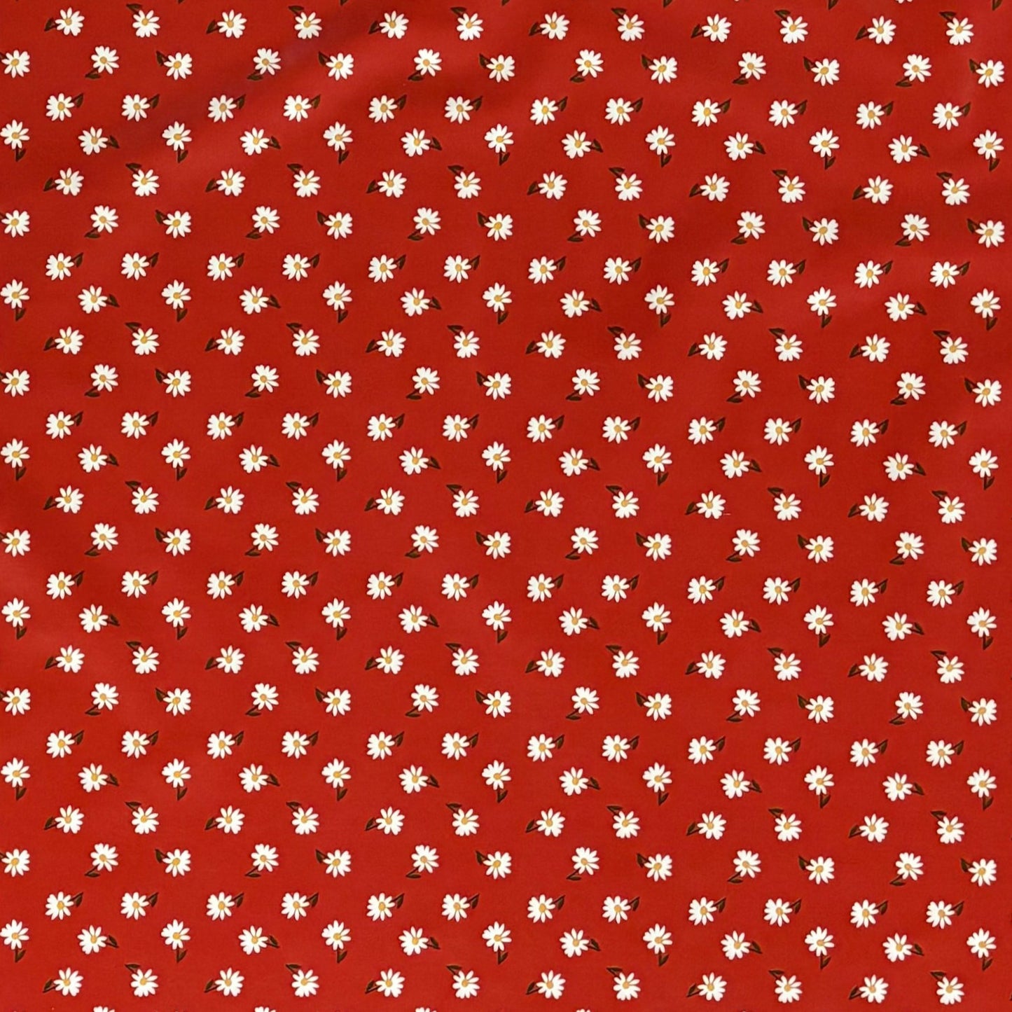 Wachstuch Tischdecke Gänseblümchen rot