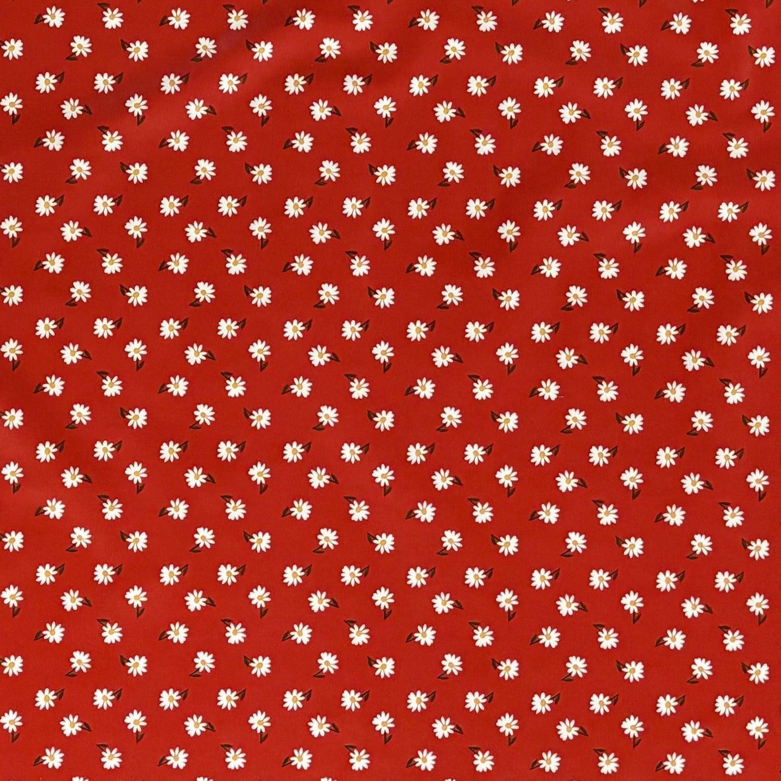 Wachstuch Tischdecke Gänseblümchen rot
