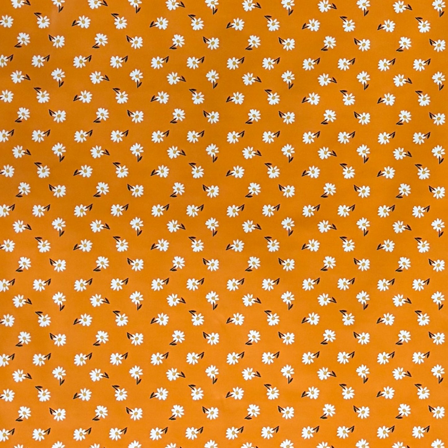 Wachstuch Tischdecke Gänseblümchen orange