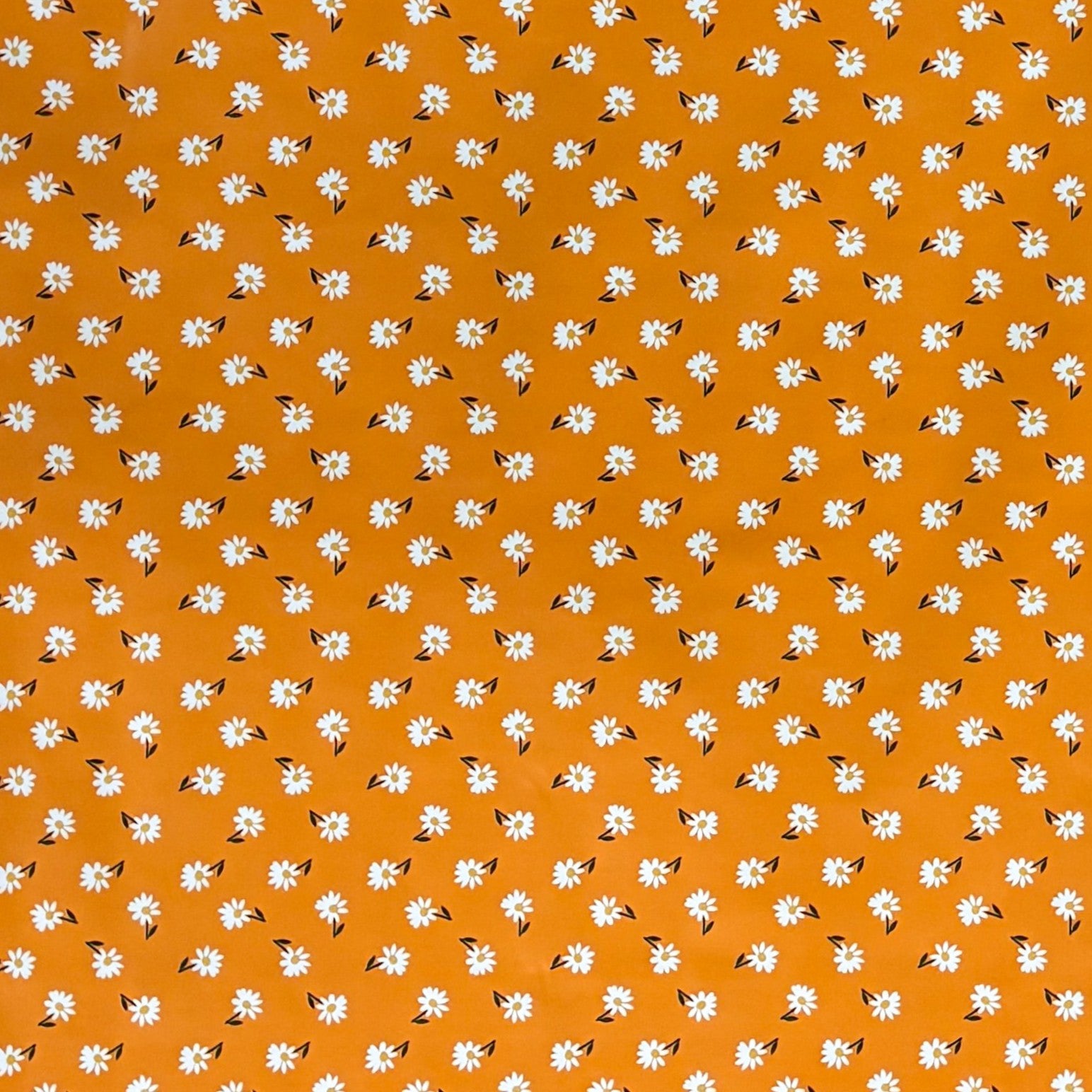 Wachstuch Tischdecke Gänseblümchen orange