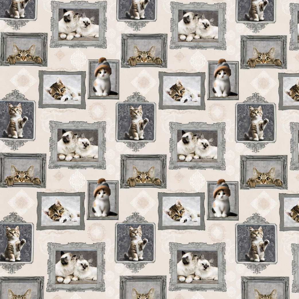 Wachstuch-Tischdecke mit cremefarbenem Hintergrund und dekorativem Katzenmotiv im Vintage-Stil. Verschiedene Katzenporträts in grauen und silbernen Bilderrahmen sind gleichmäßig über die Tischdecke verteilt. Das Design zeigt flauschige Kätzchen und neugierige Katzen mit dezenten Ornamentmustern zwischen den Rahmen.