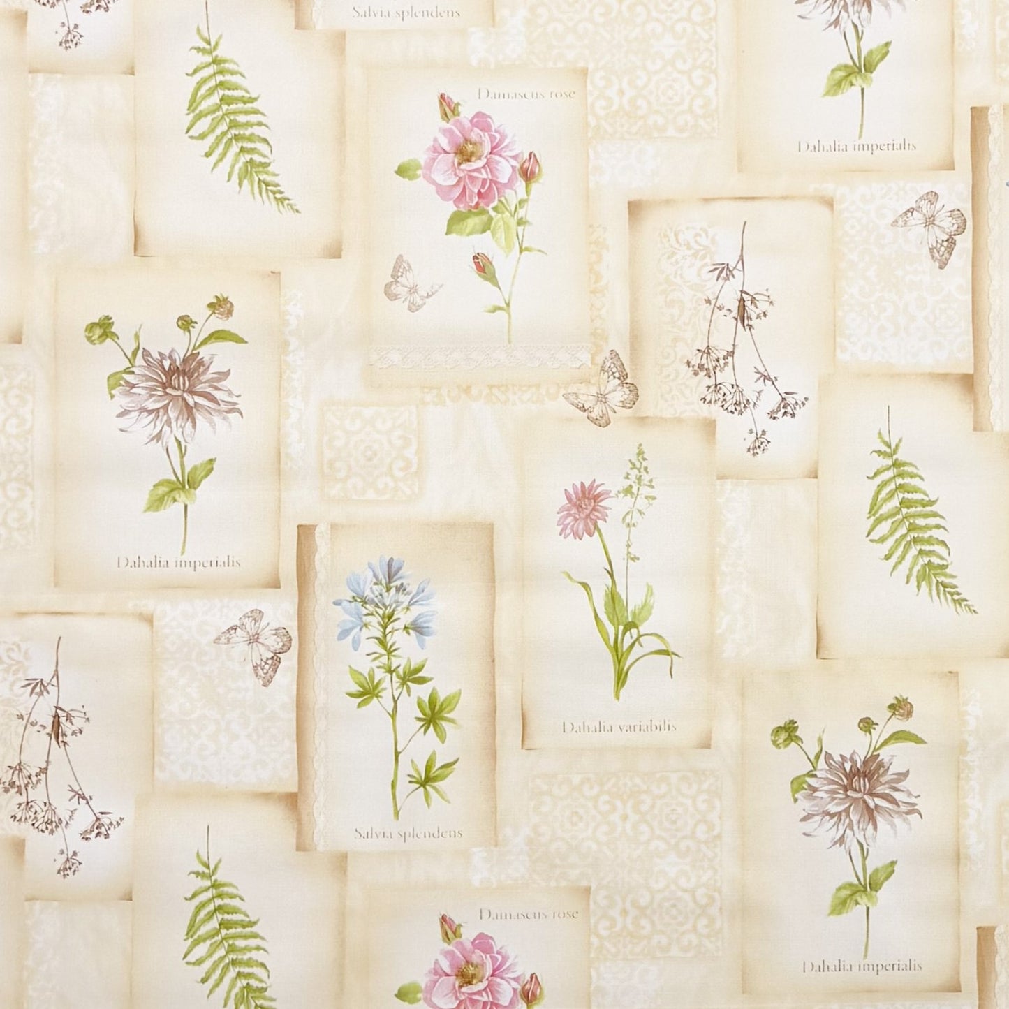 Wachstuch Tischdecke geprägt beige Blumen Dahlia Salbei