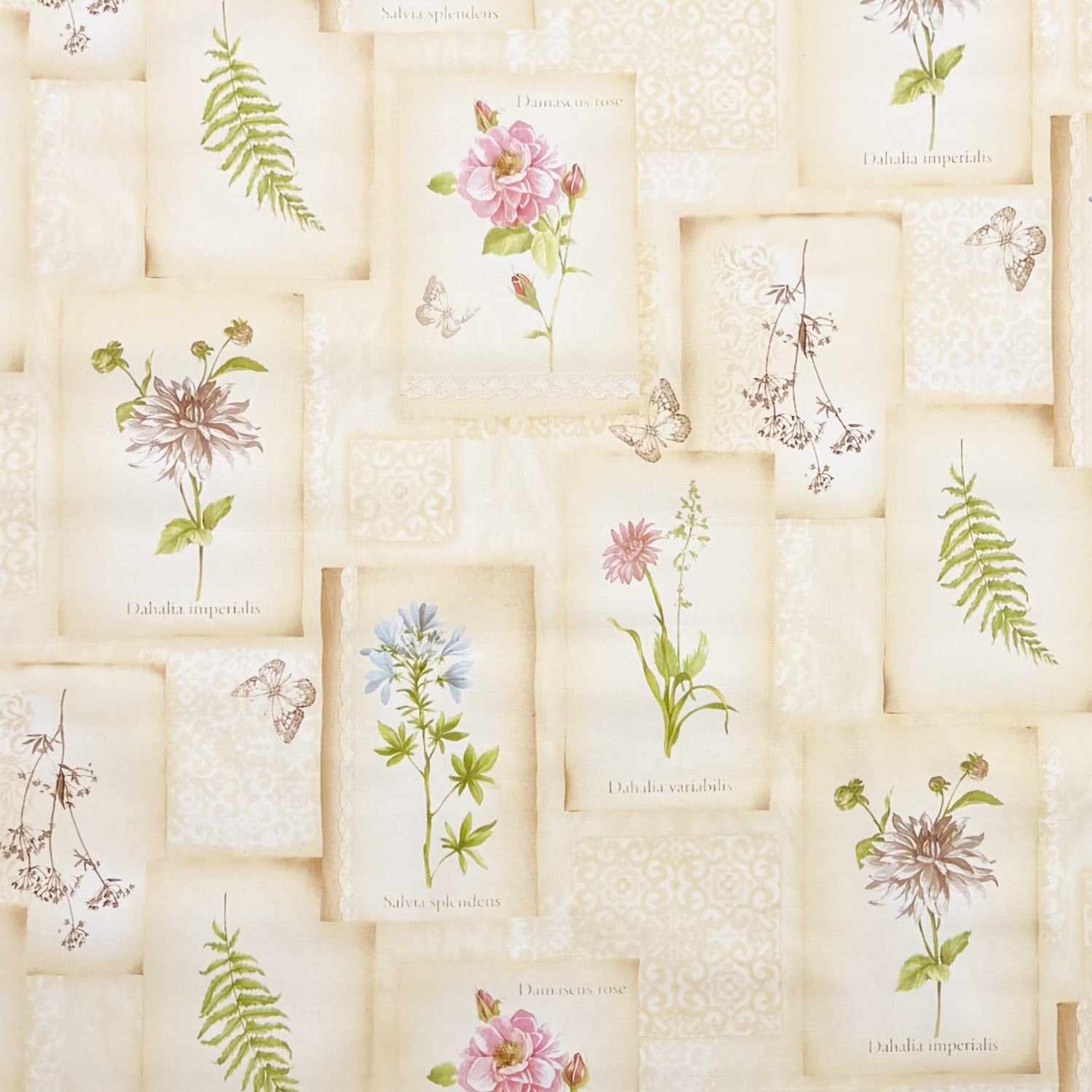 Wachstuch Tischdecke geprägt beige Blumen Dahlia Salbei