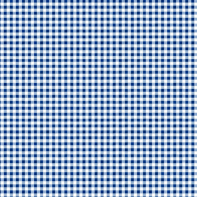 Blau-weiß karierte Wachstuch-Tischdecke in Nahaufnahme. Das feine Vichy-Karomuster besteht aus gleichmäßigen kleinen Quadraten und verläuft glatt und eben über die gesamte Fläche. Die Oberfläche wirkt faltenfrei und gleichmäßig ausgeleuchtet.