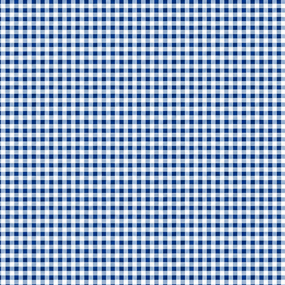Blau-weiß karierte Wachstuch-Tischdecke in Nahaufnahme. Das feine Vichy-Karomuster besteht aus gleichmäßigen kleinen Quadraten und verläuft glatt und eben über die gesamte Fläche. Die Oberfläche wirkt faltenfrei und gleichmäßig ausgeleuchtet.