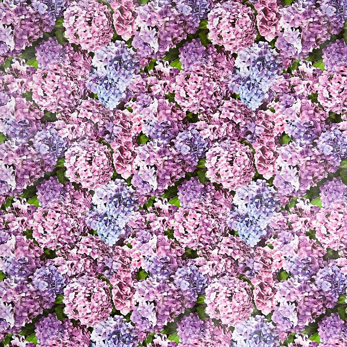 Nappe en toile cirée B4049-01 Hortensias Mer de Fleurs carrée ronde ovale vendue au mètre
