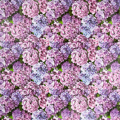 Nappe en toile cirée B4049-01 Hortensias Mer de Fleurs carrée ronde ovale vendue au mètre