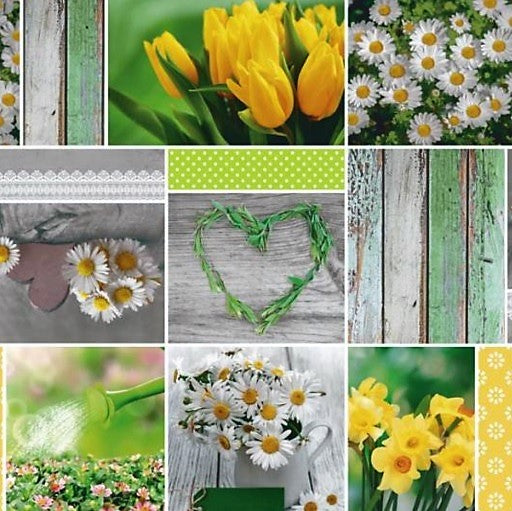 Oilcloth roll sold by the meter roll goods B6004-01 daffodil daffodils Easter