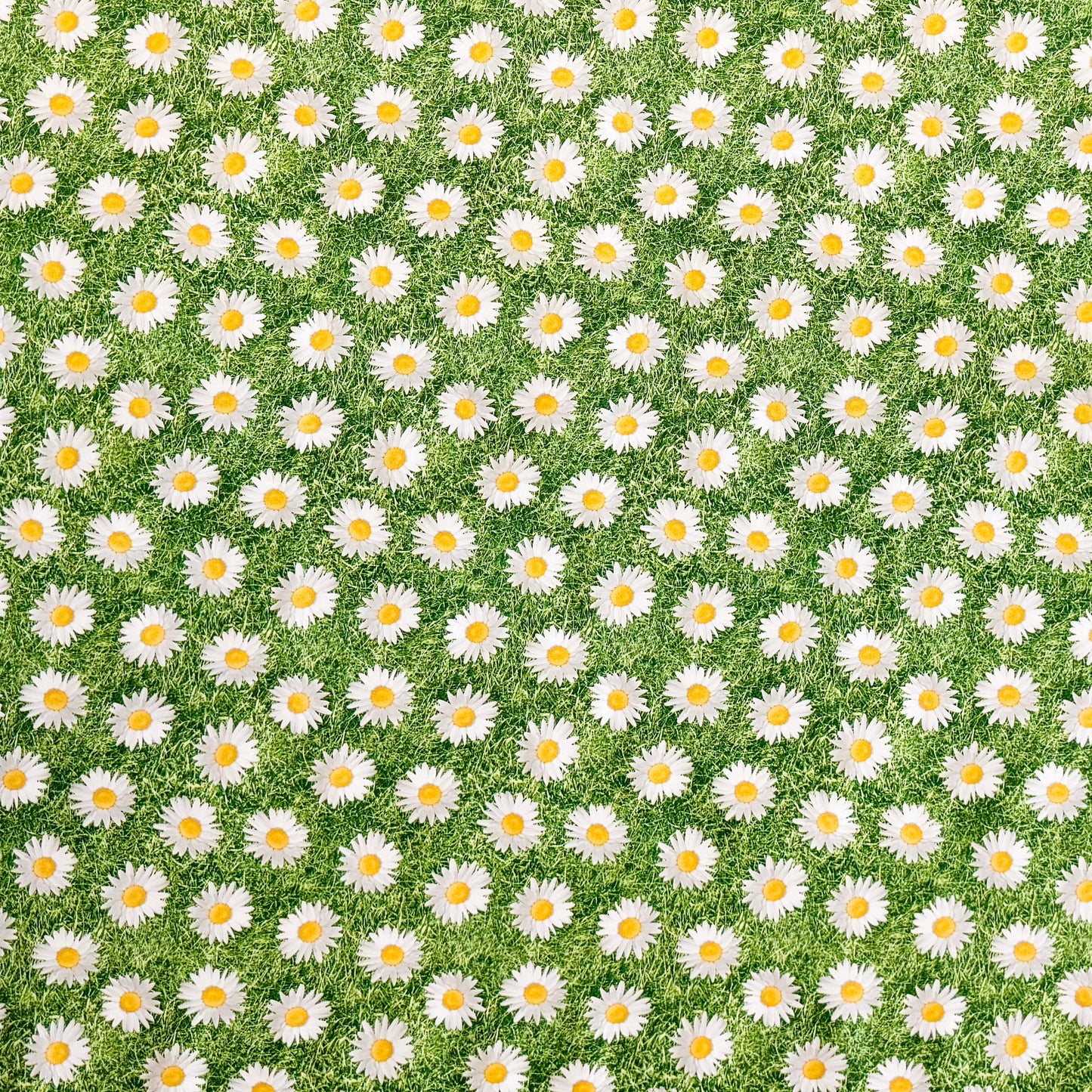 Wachstuch Tischdecke Blumenwiese Gänseblumen