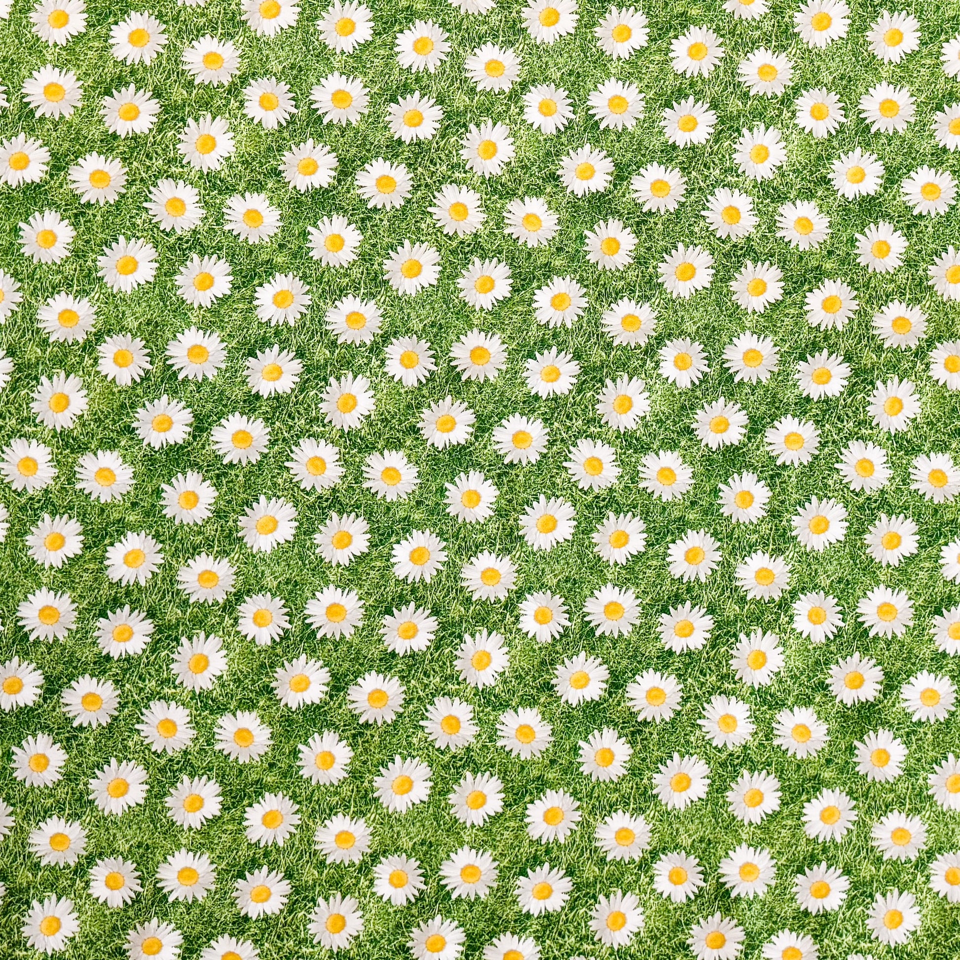 Wachstuch Tischdecke Blumenwiese Gänseblumen