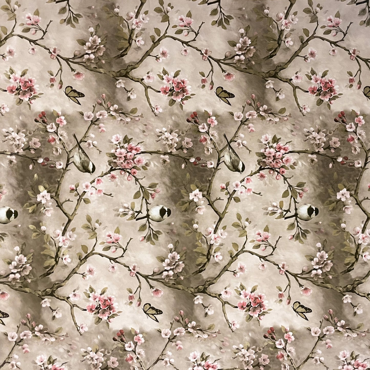 Wachstuchtischdecke Kirschblüte Meise taupe wachstuchshop24pro.com