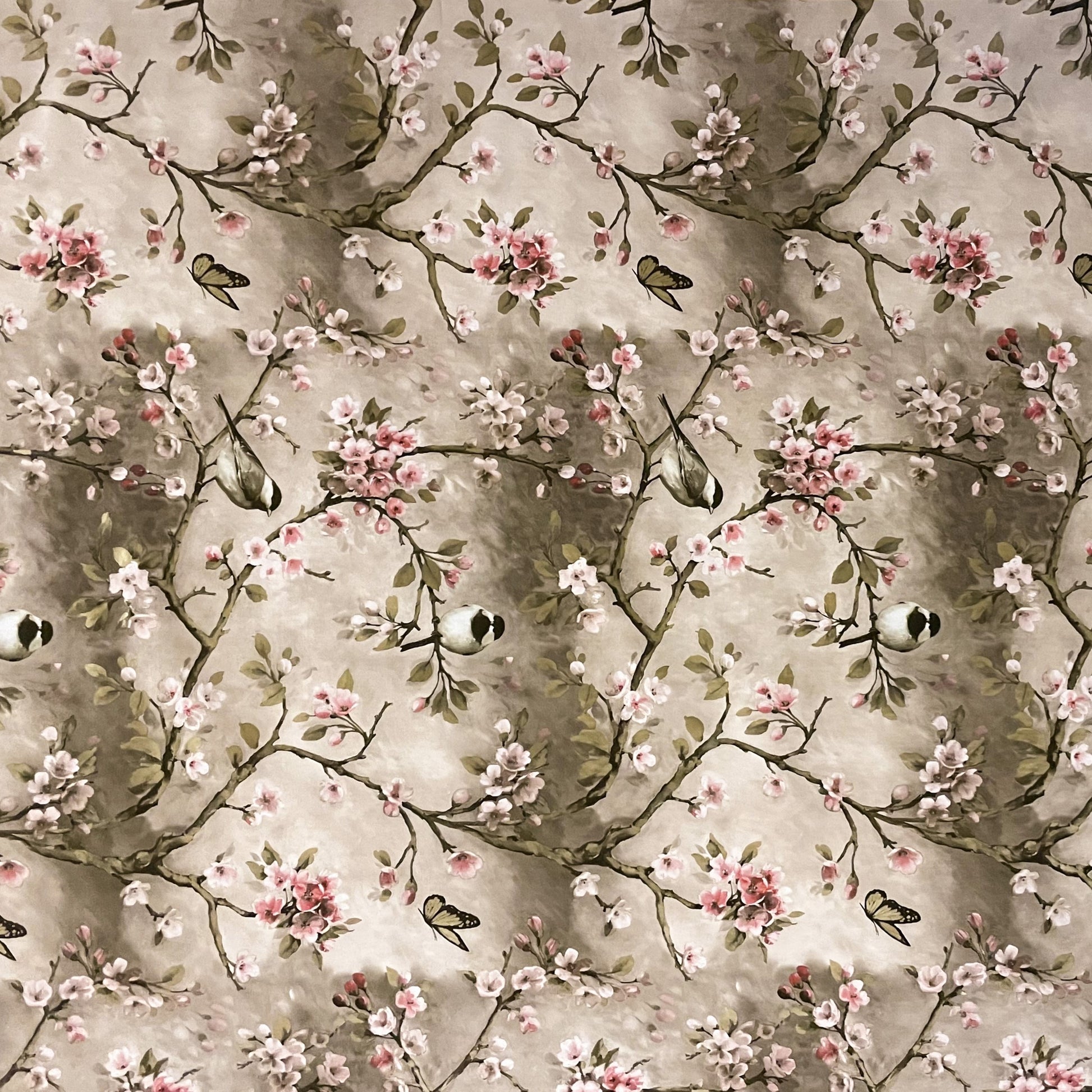 Wachstuchtischdecke Kirschblüte Meise taupe wachstuchshop24pro.com