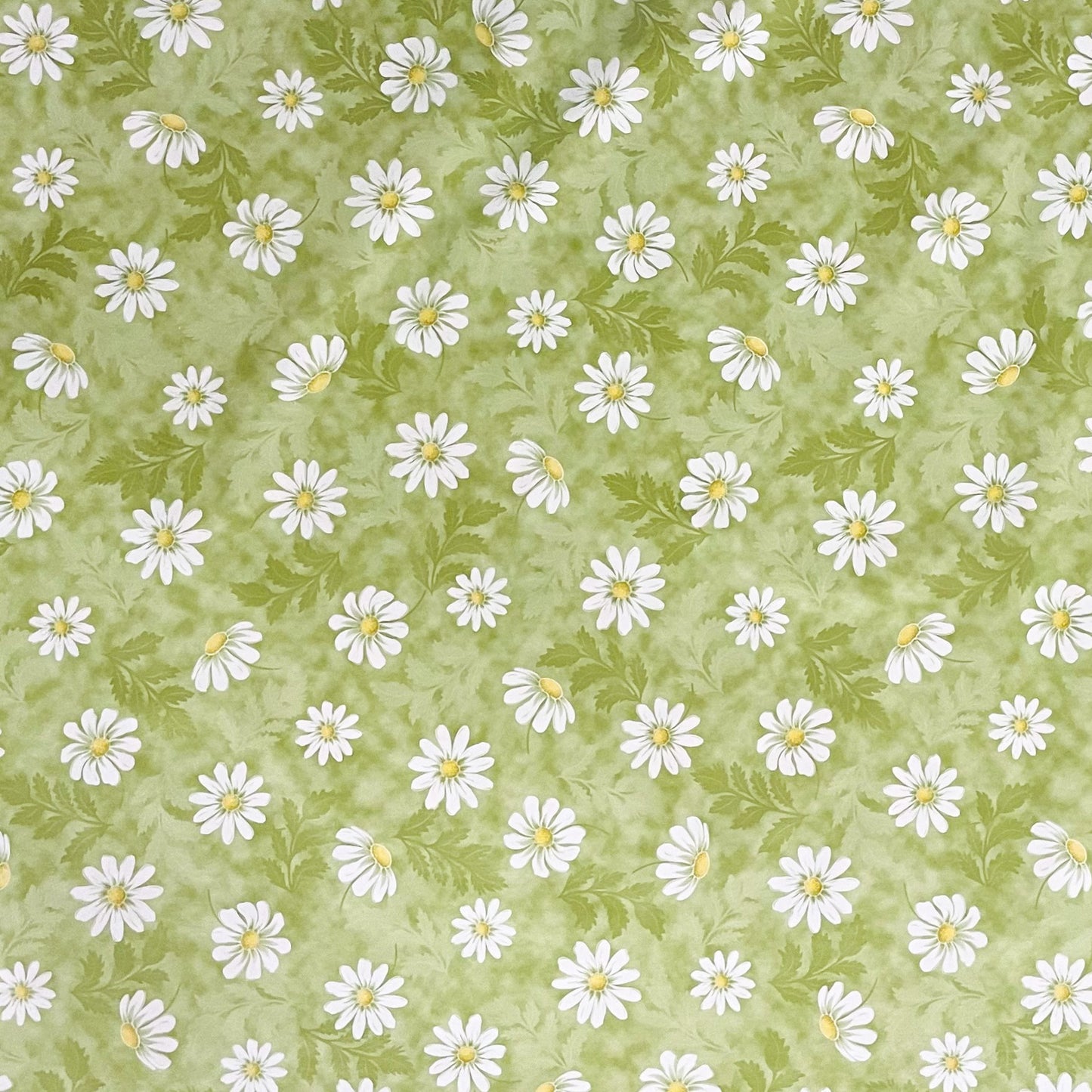 abwaschbare Wachstuchtischdecke grün Mageritten Blumen Blüten