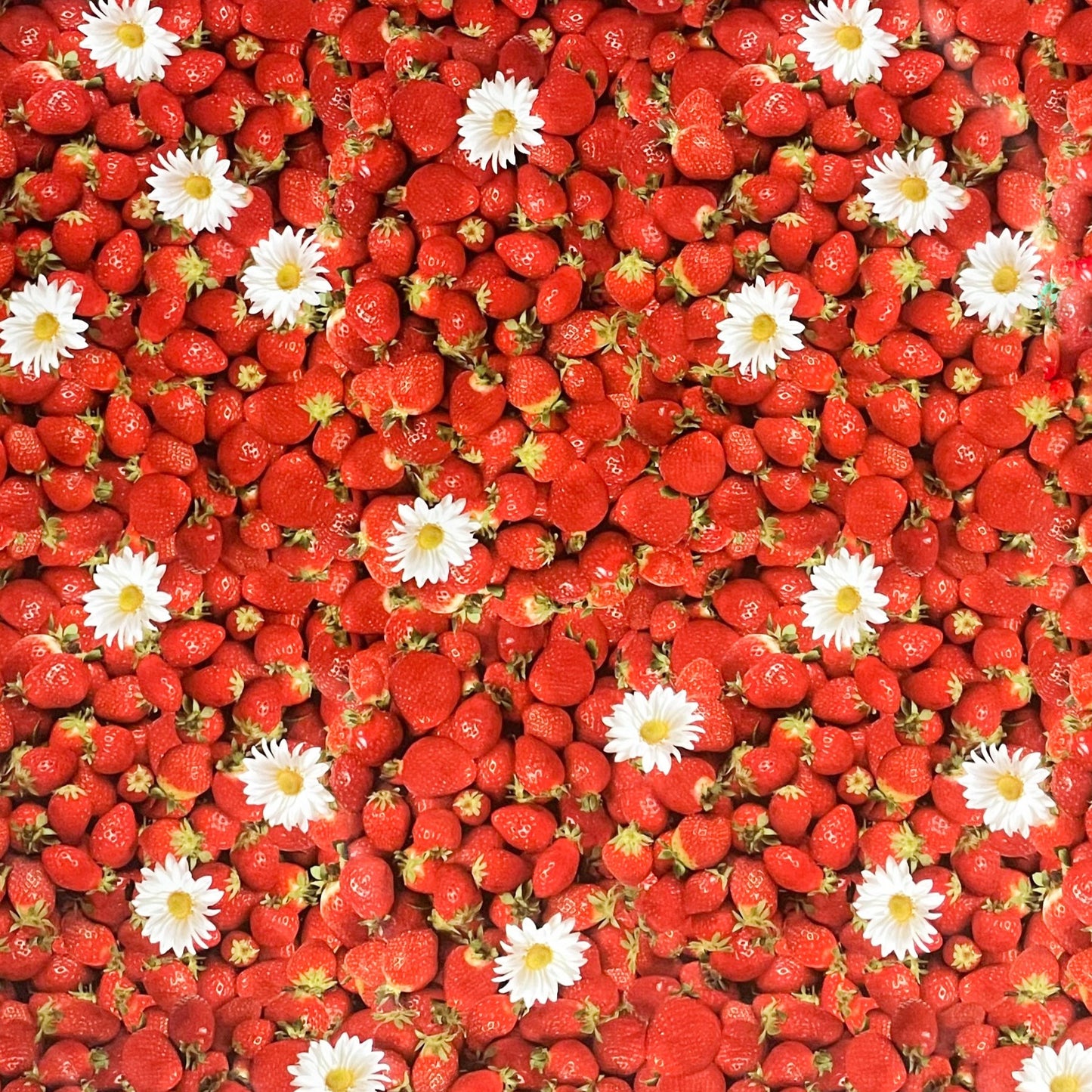Wachstuch Tischdecke Erdbeeren Küche 