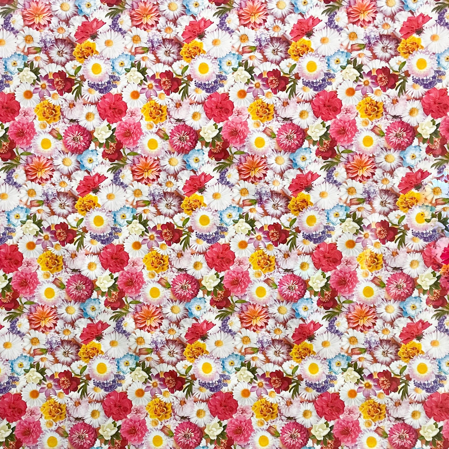 Wachstuchtischdecke Tischdecke Gebera Blumen Blüten