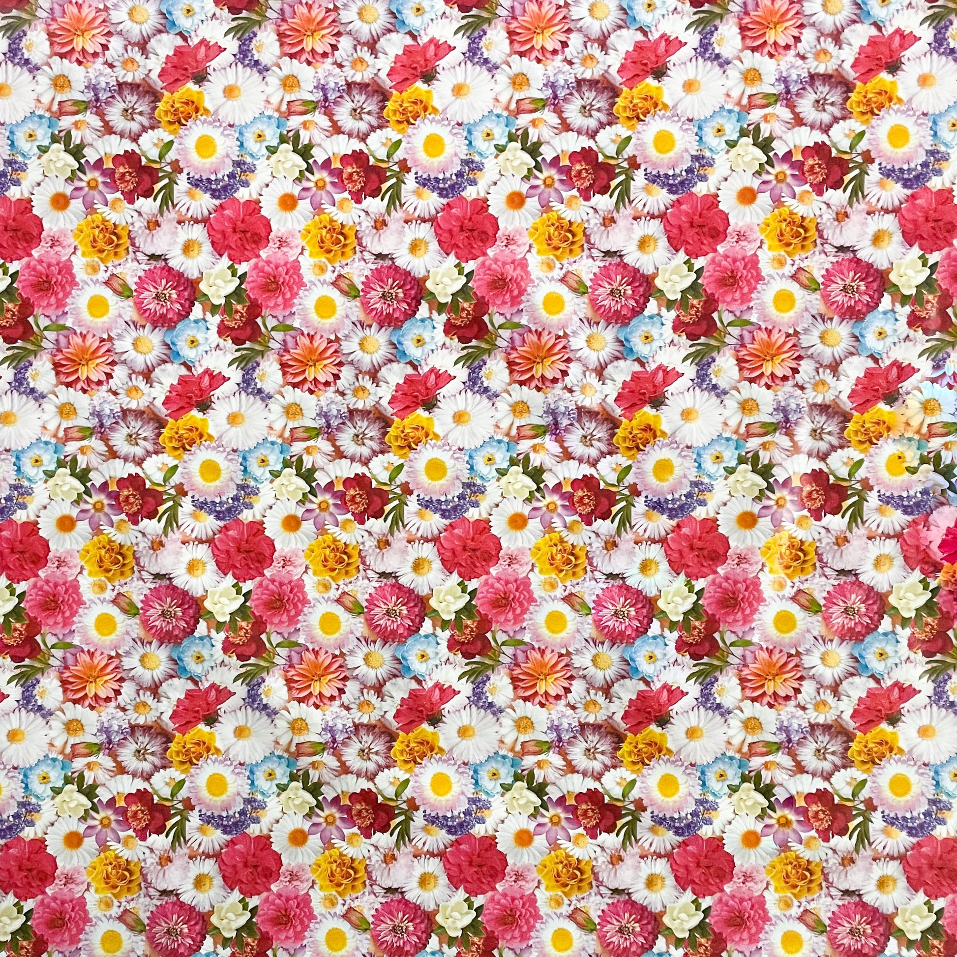 Wachstuchtischdecke Tischdecke Gebera Blumen Blüten