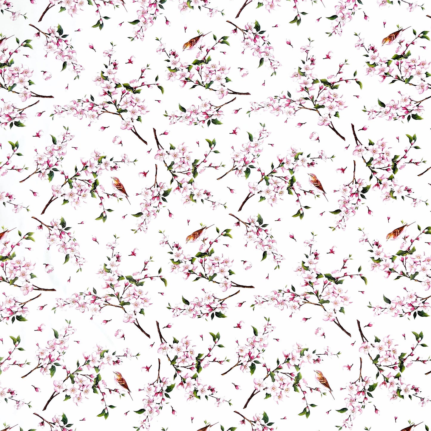 Wachstuch Tischdecke Kirschblüte Meise weiss