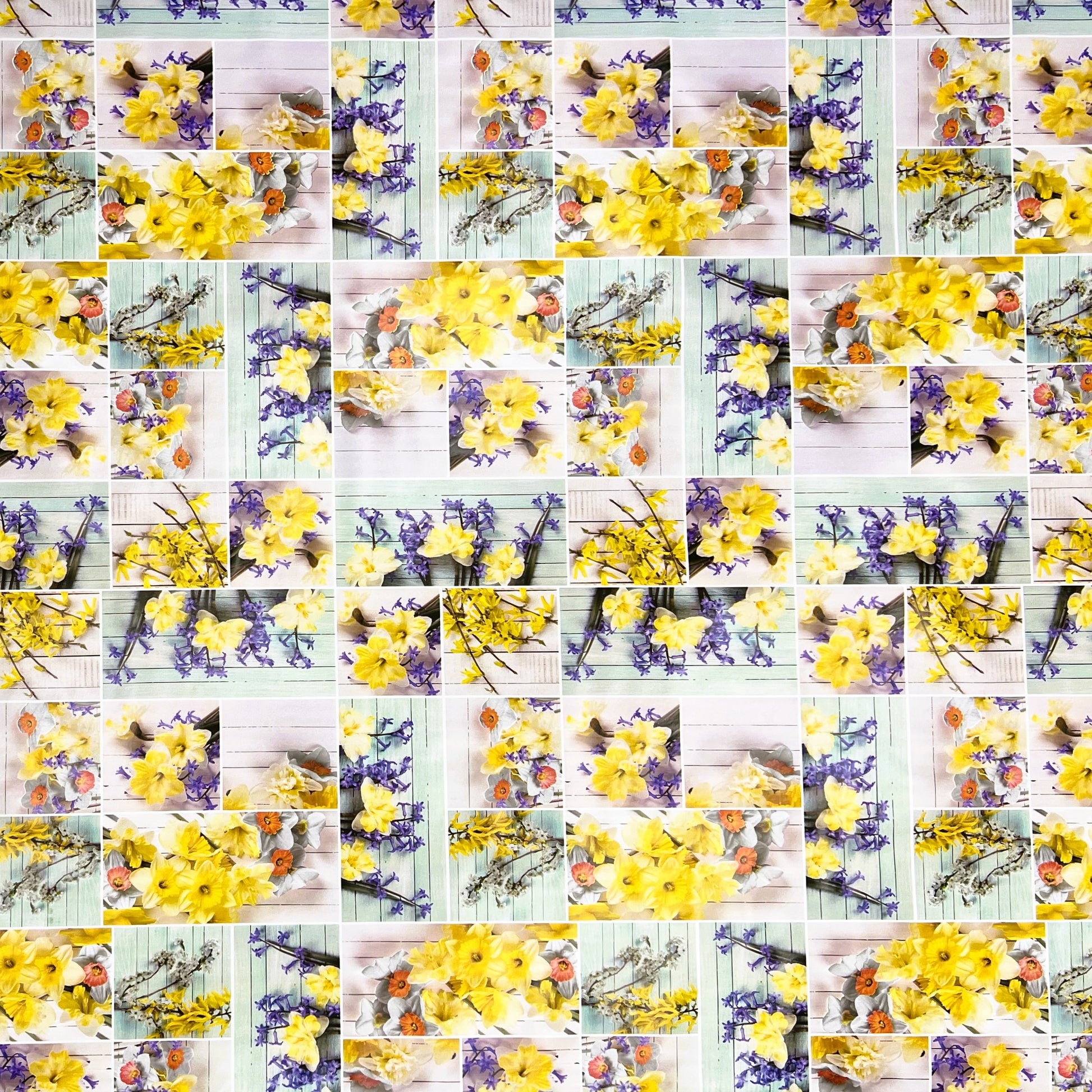 abwaschbare Wachstuch Tischdecke eckig rund oval wachstuchshop24 kaufen Frühjahr Ostern Narzissen Blumen
