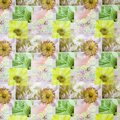 Oilcloth tablecloth BB40 dandelion flowers patchwork square round oval