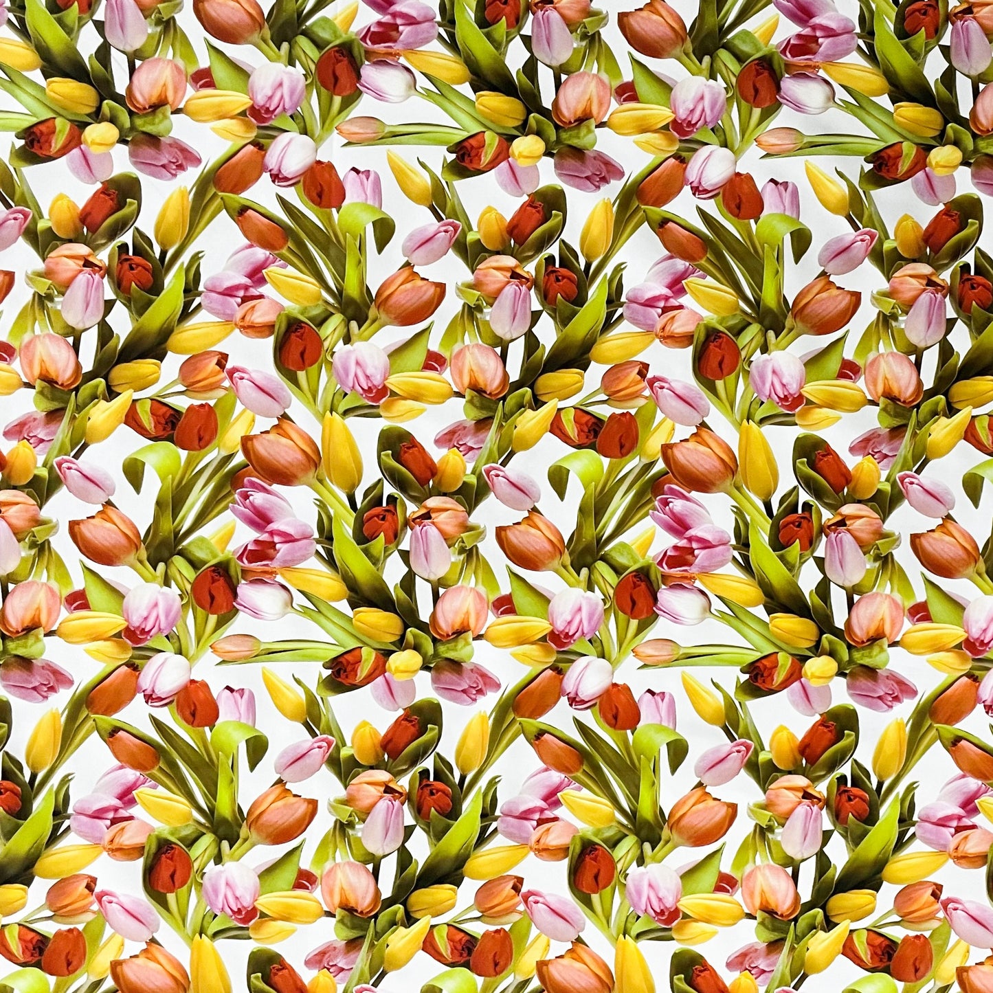 Wachstuch Tischdecke Frühjahr Tulpen