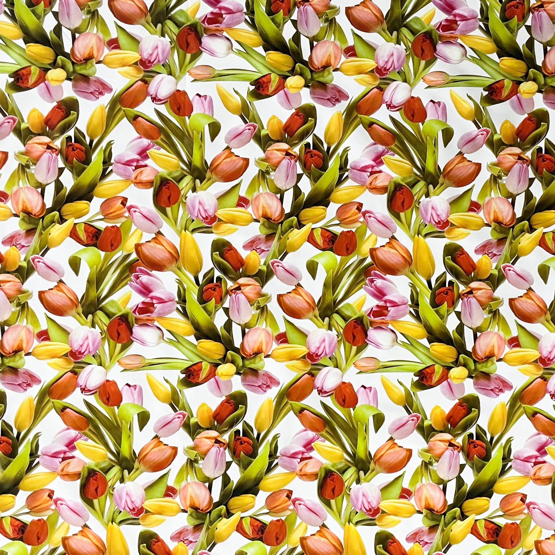 Wachstuch Tischdecke Frühjahr Tulpen